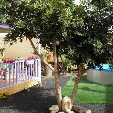 Caravana En Oasis Privado La Vegueta 외부 사진